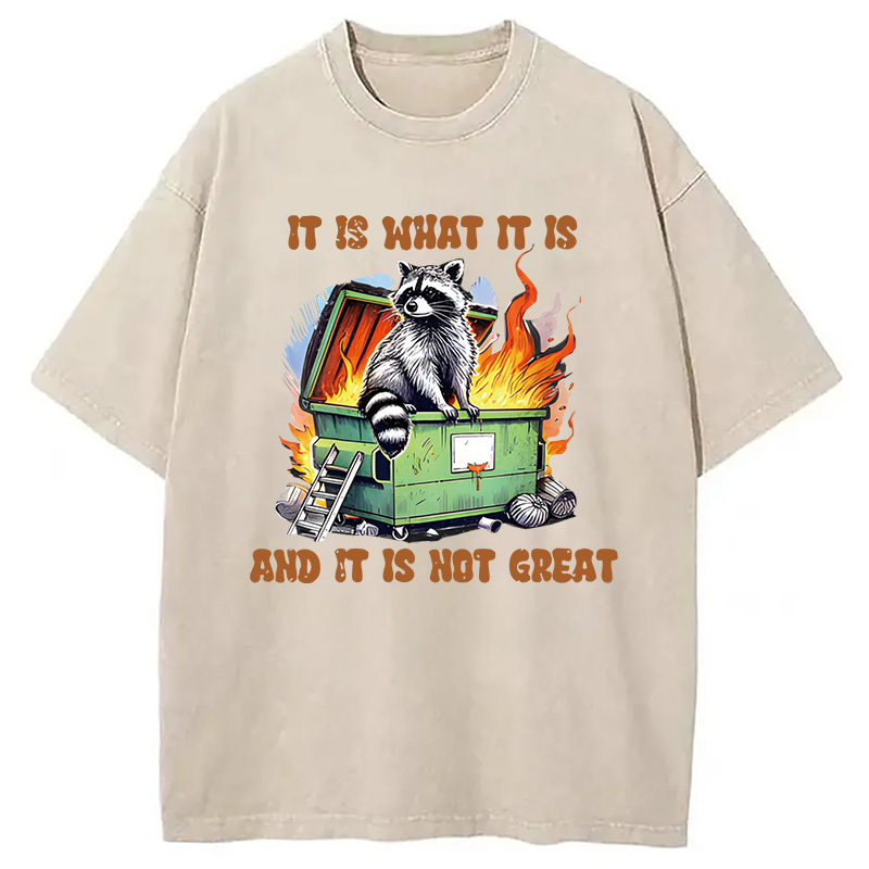 Modecanvas It is What Not Great Raccoon Meme DTG Printing Washed T-Shirt