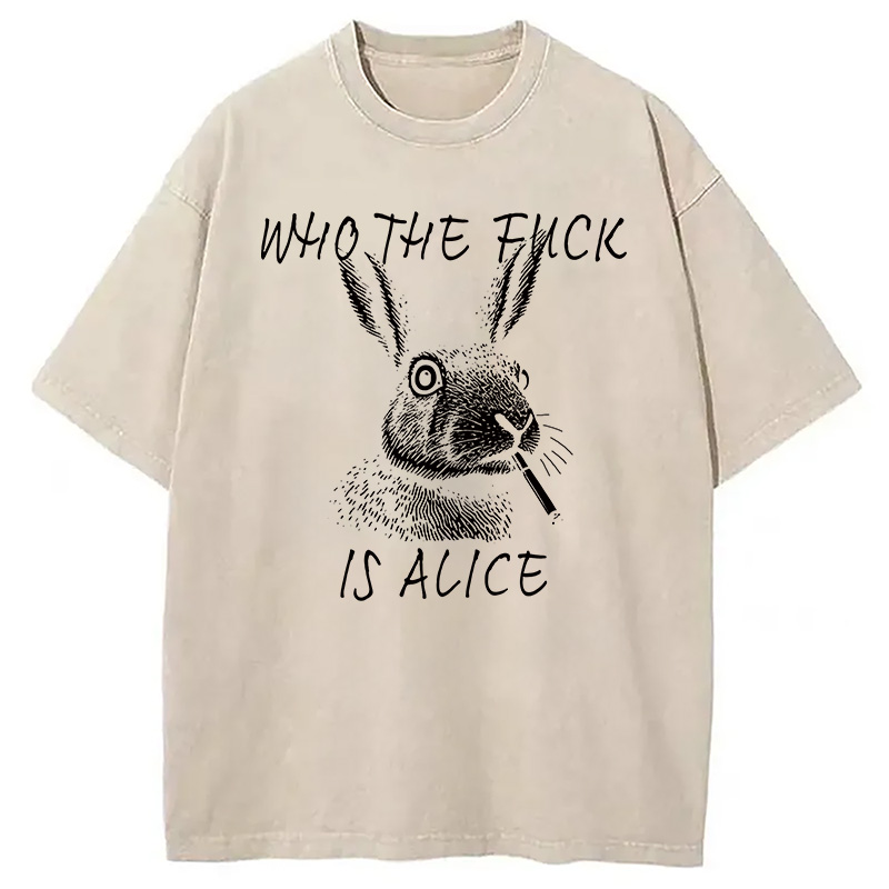 Modecanvas Who The Fck Is Alice Meme DTG Printing Washed T-Shirt