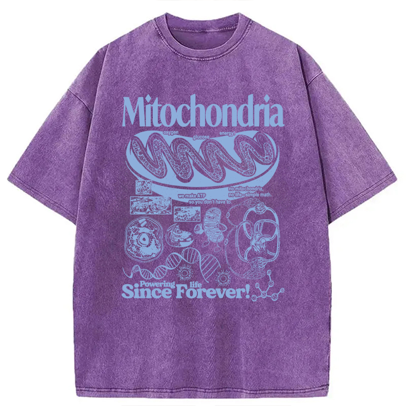 Modecanvas Mitochondria Vintage Science DTG Printing Washed T-Shirt