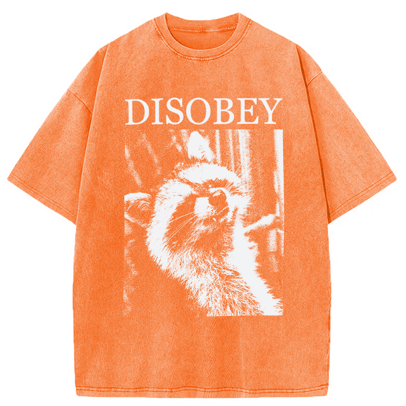 Modecanvas Disobey Raccoon DTG Printing Washed T-Shirt
