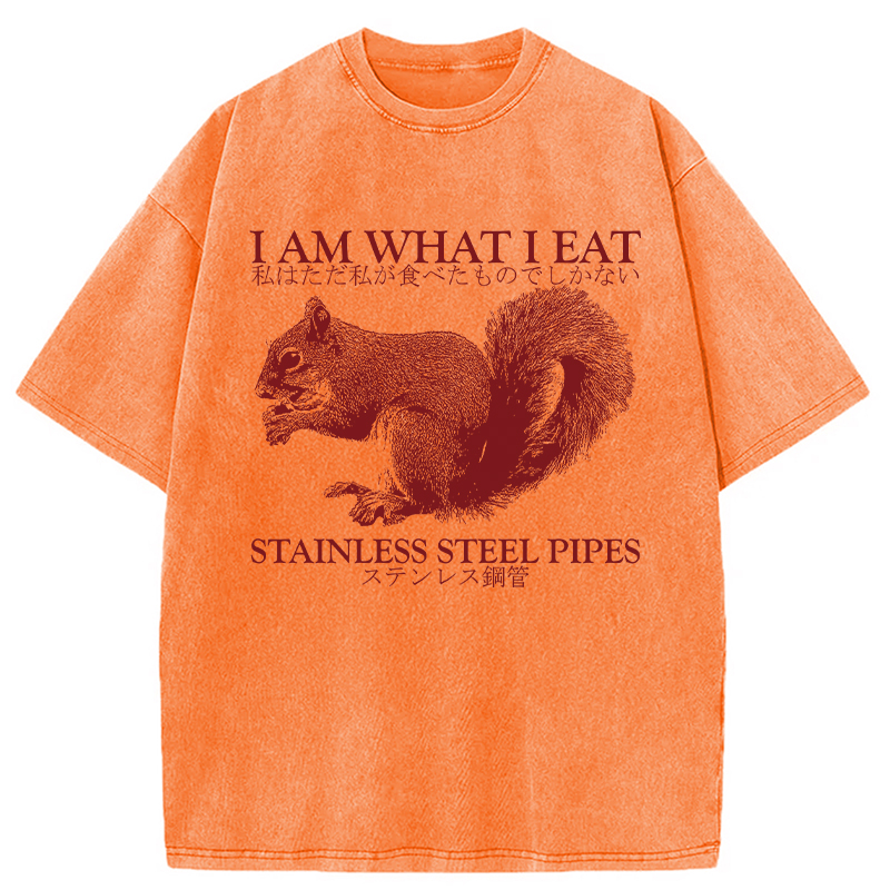 Modecanvas I Am What I Eat DTG Printing Washed T-Shirt