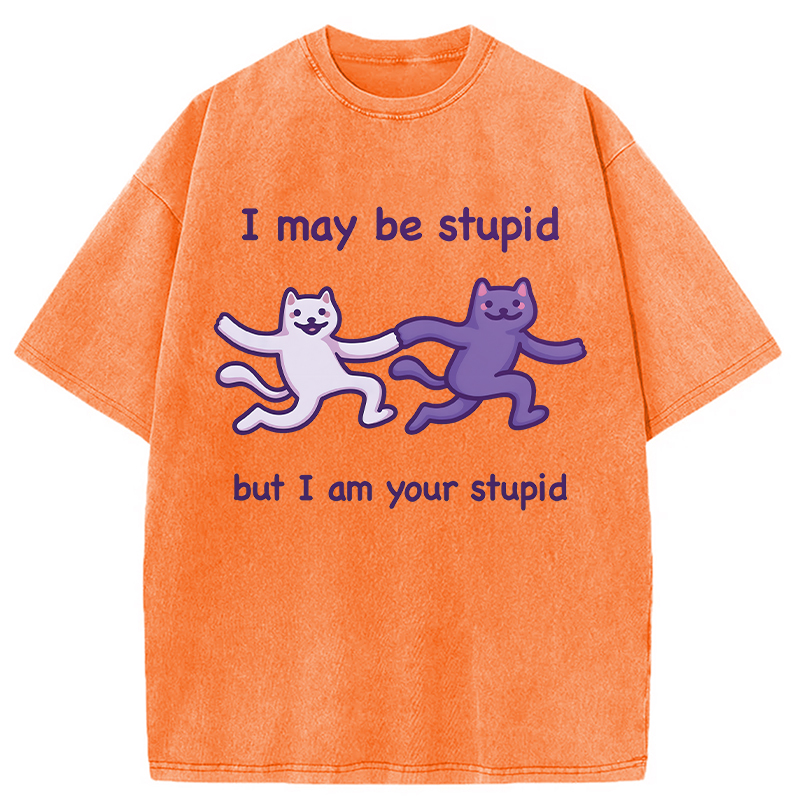 Modecanvas I Am Your Stupid DTG Printing Washed T-Shirt