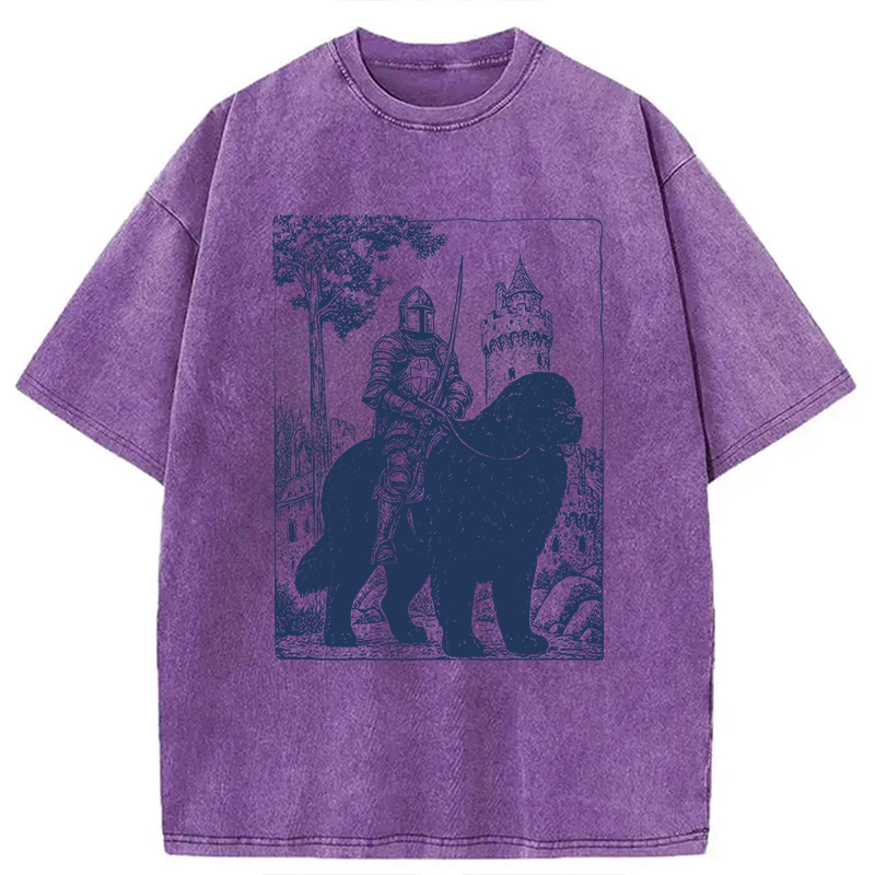 Modecanvas Knight Newfoundland Rider Vintage DTG Printing Washed T-Shirt