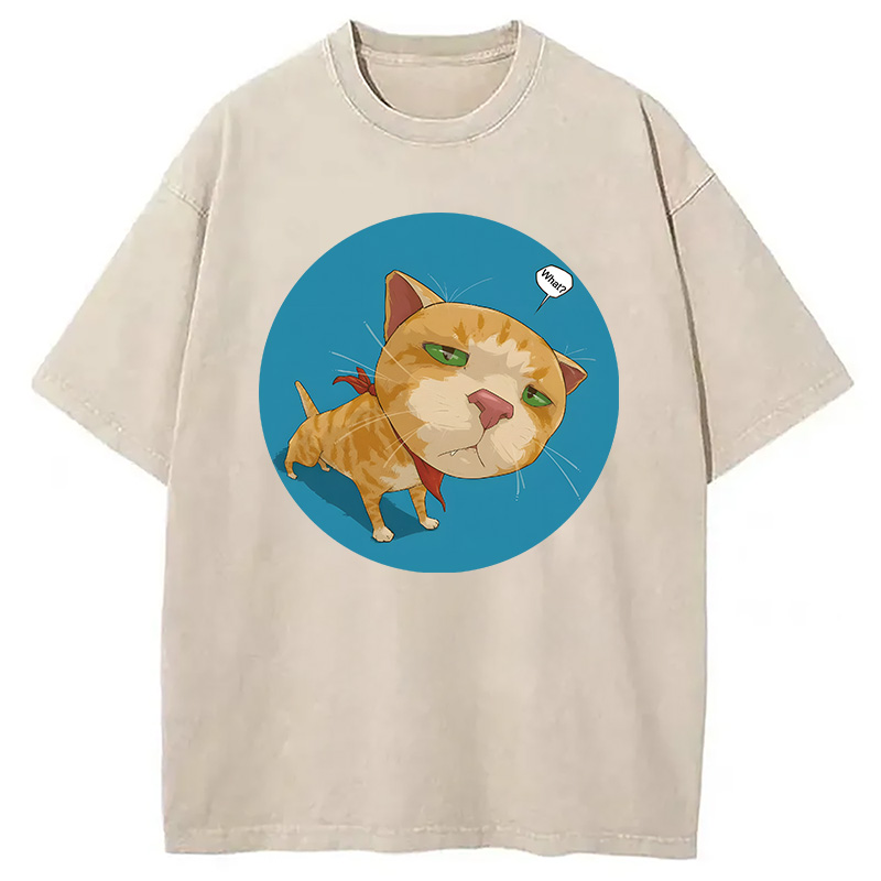 Modecanvas Confusing Cat DTG Printing Washed T-Shirt