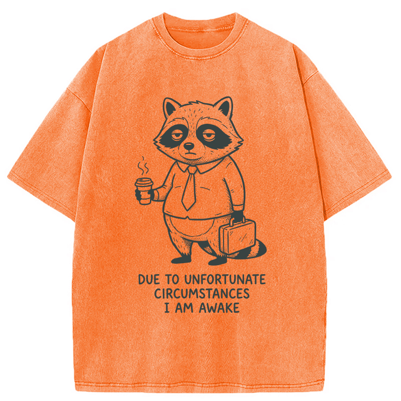 Modecanvas Grumpy Raccoon Morning DTG Printing Washed T-Shirt