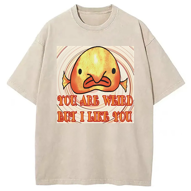 Modecanvas Odly Adorable Fish Meme DTG Printing Washed T-Shirt