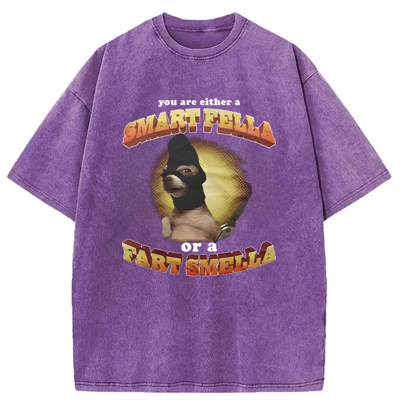 Modecanvas You Are Either A Smart Fella Or A Fart Smella Funny Meme DTG Printing Washed T-Shirt