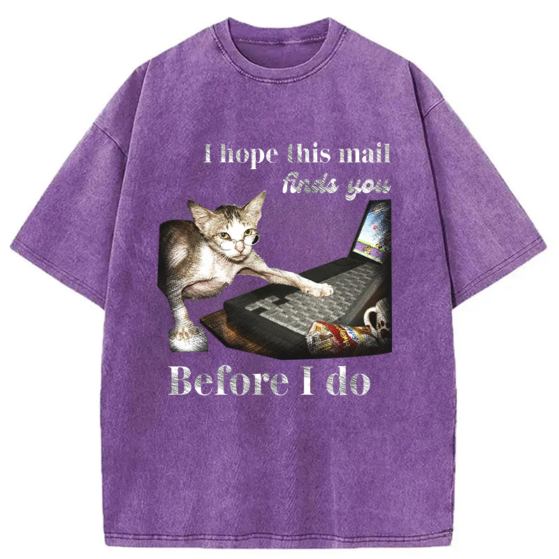 Modecanvas Funny Send Mail Cat Meme DTG Printing Washed T-Shirt