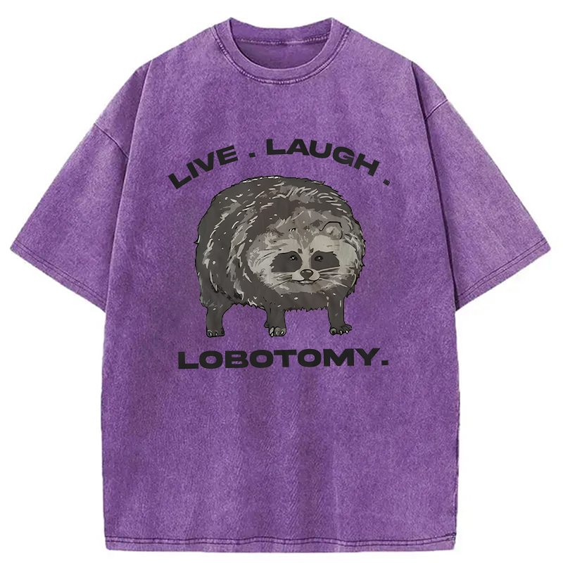 Modecanvas Live Laugh Lobotomy Funny Dolphin Meme DTG Printing Washed T-Shirt