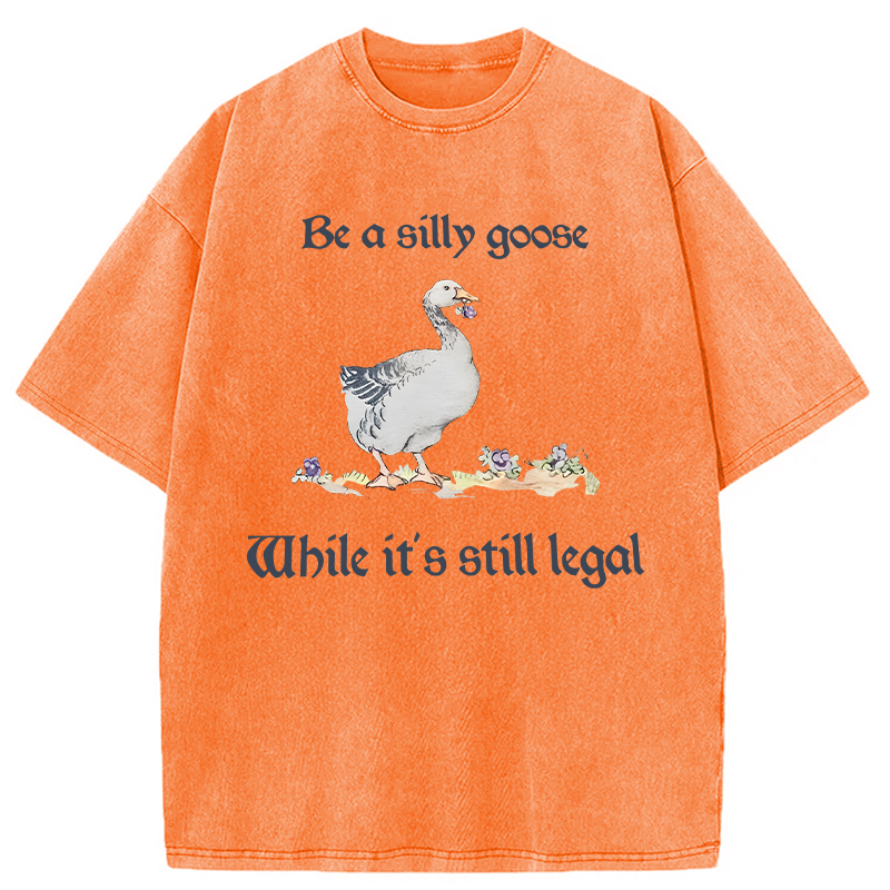 Modecanvas Be A Silly Goose DTG Printing Washed T-Shirt