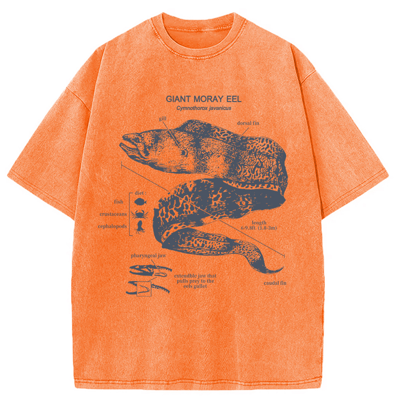 Modecanvas Moray Eel Anatomy Vintage DTG Printing Washed T-Shirt