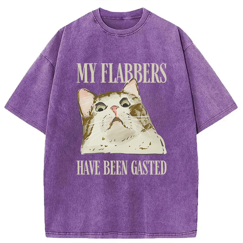 Modecanvas My Flabbers Have Been Gasted Cat Meme DTG Printing Washed T-Shirt