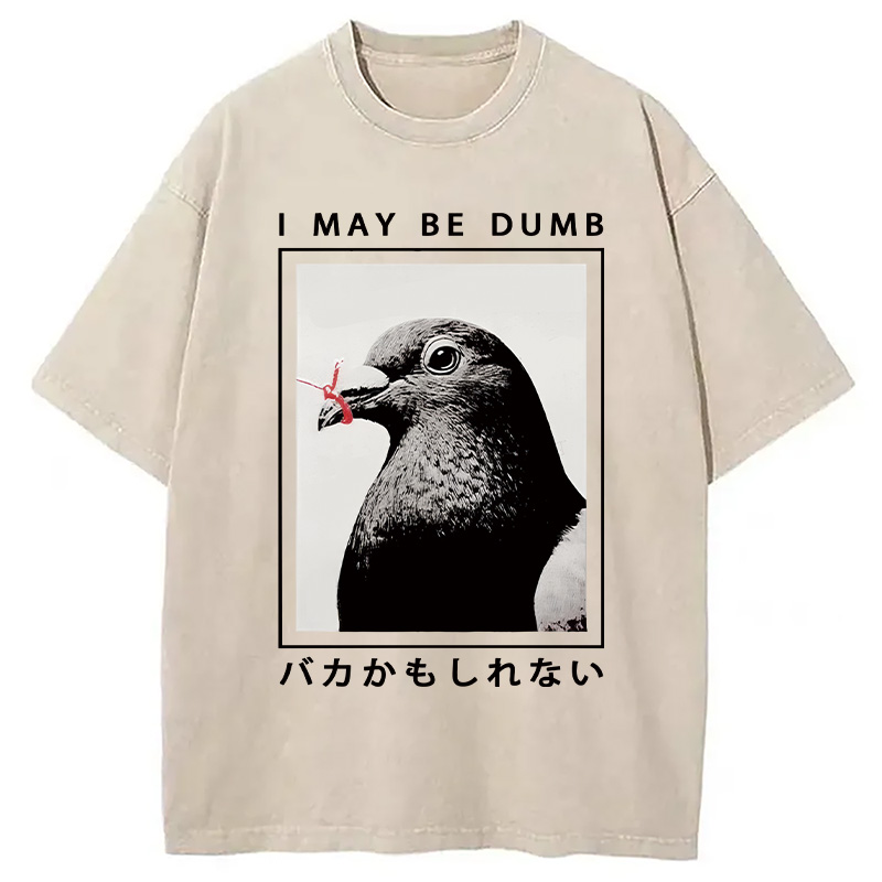 Modecanvas I May Be Dumb Funny Washed T-Shirt-modecanvas