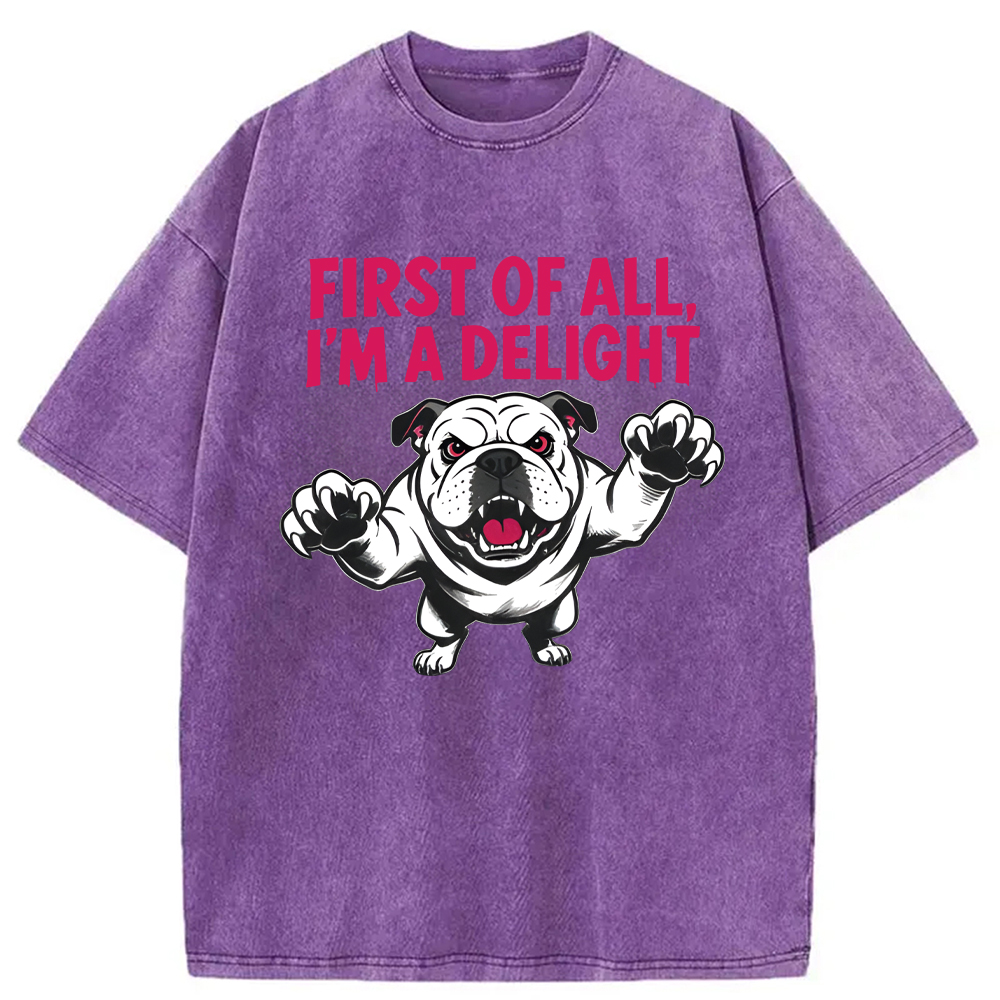 Modecanvas Fierce Bulldog Delight DTG Printing Washed T-Shirt