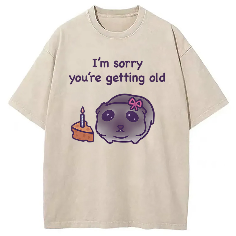 Modecanvas Sad Hamster Birthday Meme DTG Printing Washed T-Shirt
