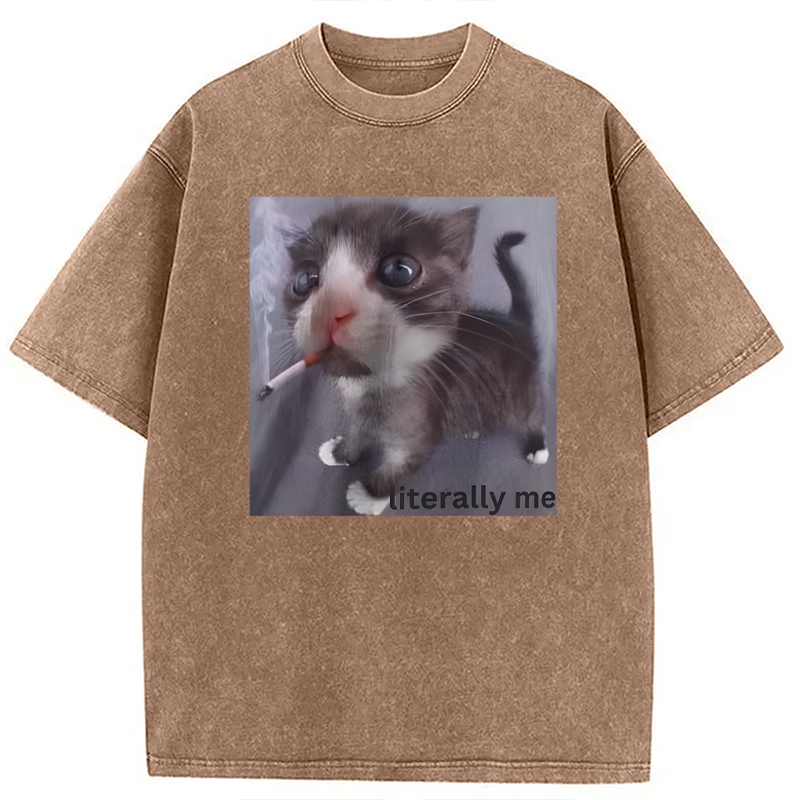 Modecanvas Literally Me Smoking Cat DTG Printing Washed T-Shirt