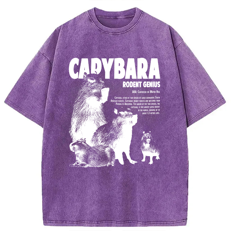 Modecanvas Capybara Vintage DTG Printing Washed T-Shirt