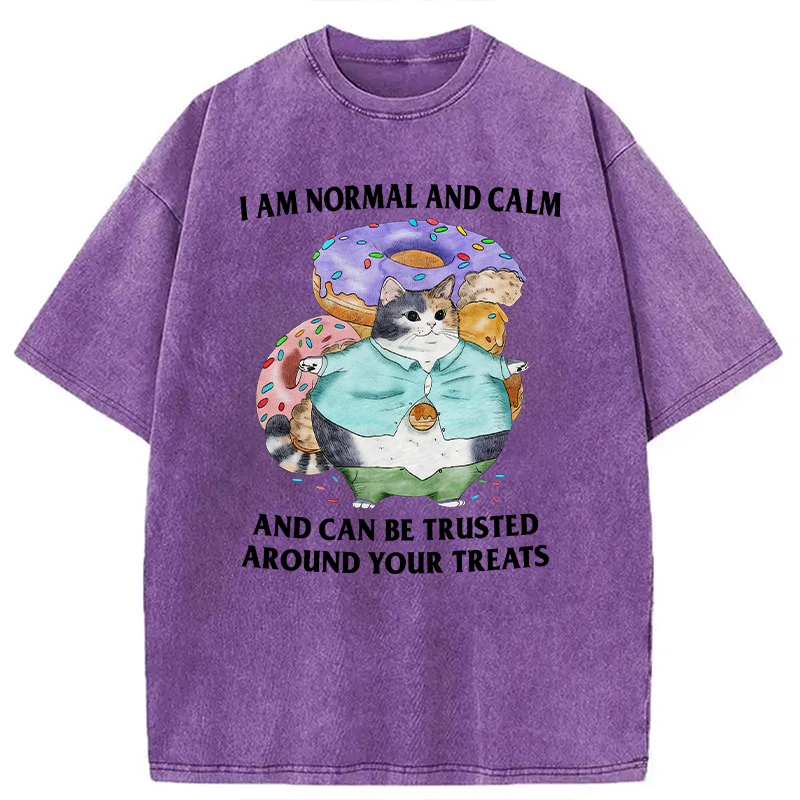Modecanvas I Can Be Trusted Around Your Treats DTG Printing Washed T-Shirt