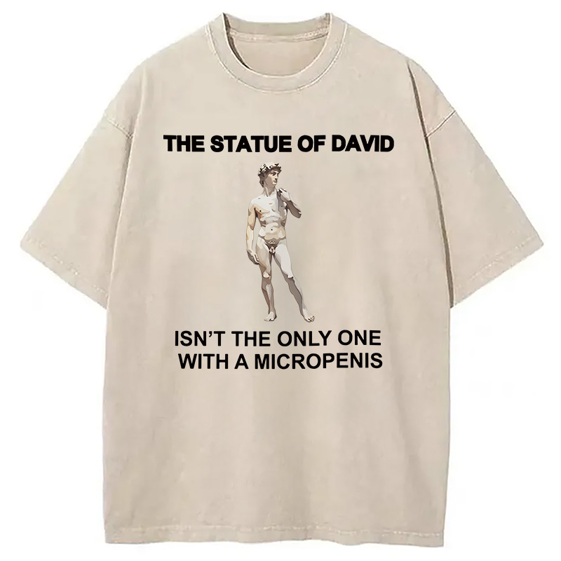 Modecanvas The Statue Of David Meme DTG Printing Washed T-Shirt