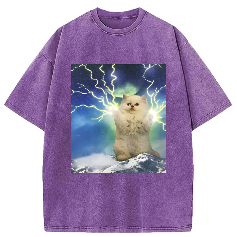 Modecanvas Lightning Cat DTG Printing Washed T-Shirt