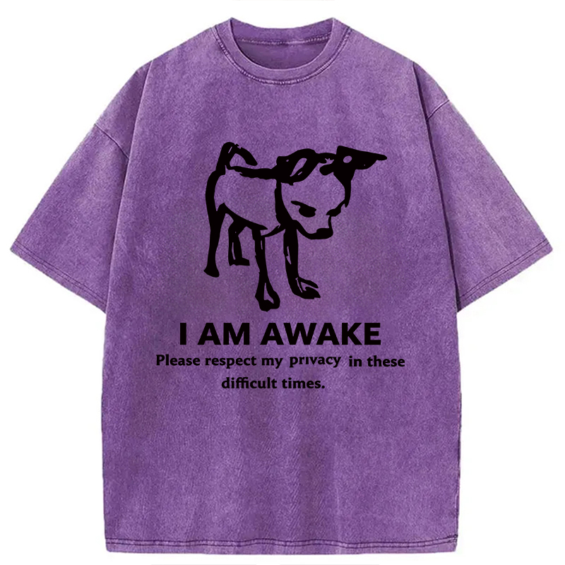 Modecanvas Silly Dog Privacy Meme DTG Printing Washed T-Shirt