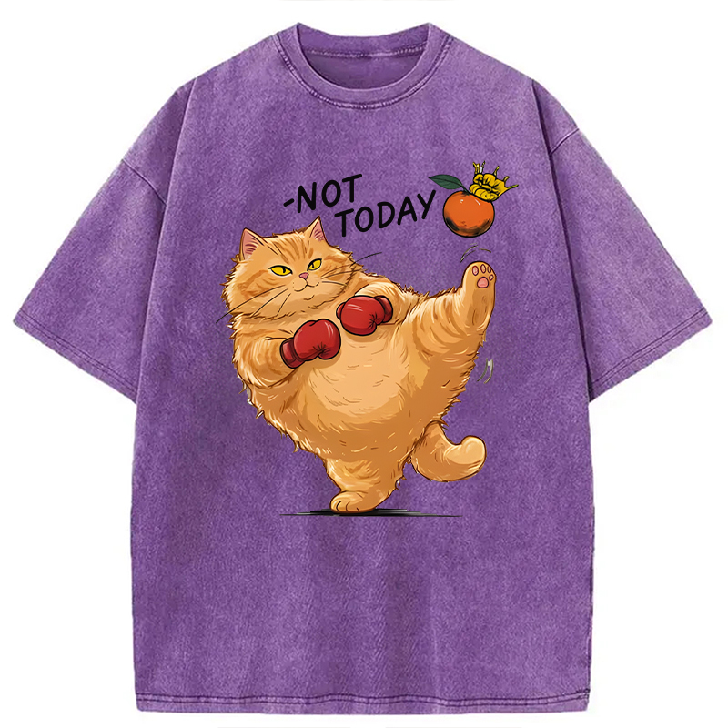 Modecanvas Boxing Cat DTG Printing Washed T-Shirt