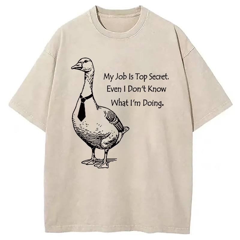 Modecanvas Serious Goose Funny Washed T-Shirt