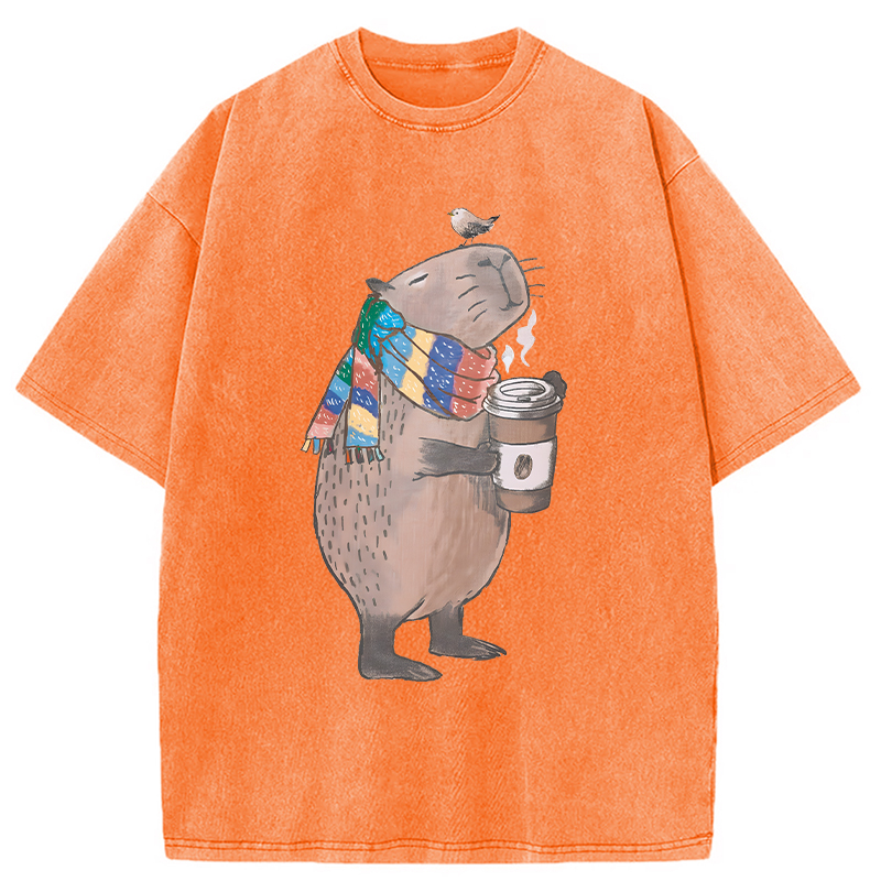 Modecanvas Coffeebara DTG Printing Washed T-Shirt