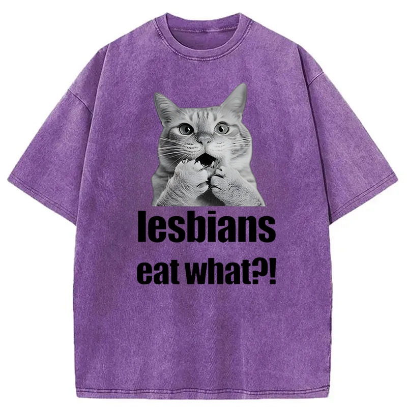 Modecanvas Lesbians Eat What? Funny Gay Joke DTG Printing Washed T-Shirt