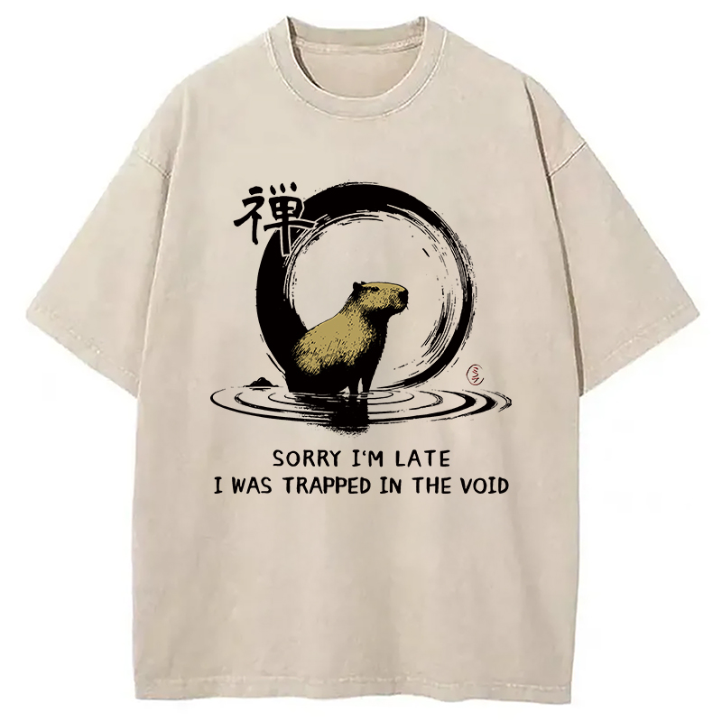 Modecanvas Zen Capybara Was Trapped In The Void Washed T-Shirt