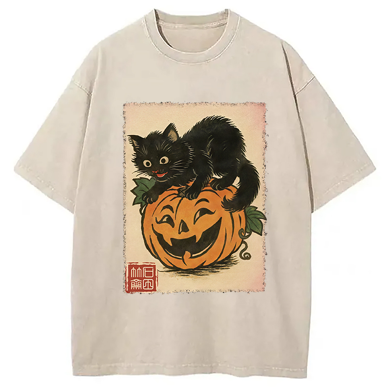Modecanvas Black Cat And Pumpkin Washed T-Shirt