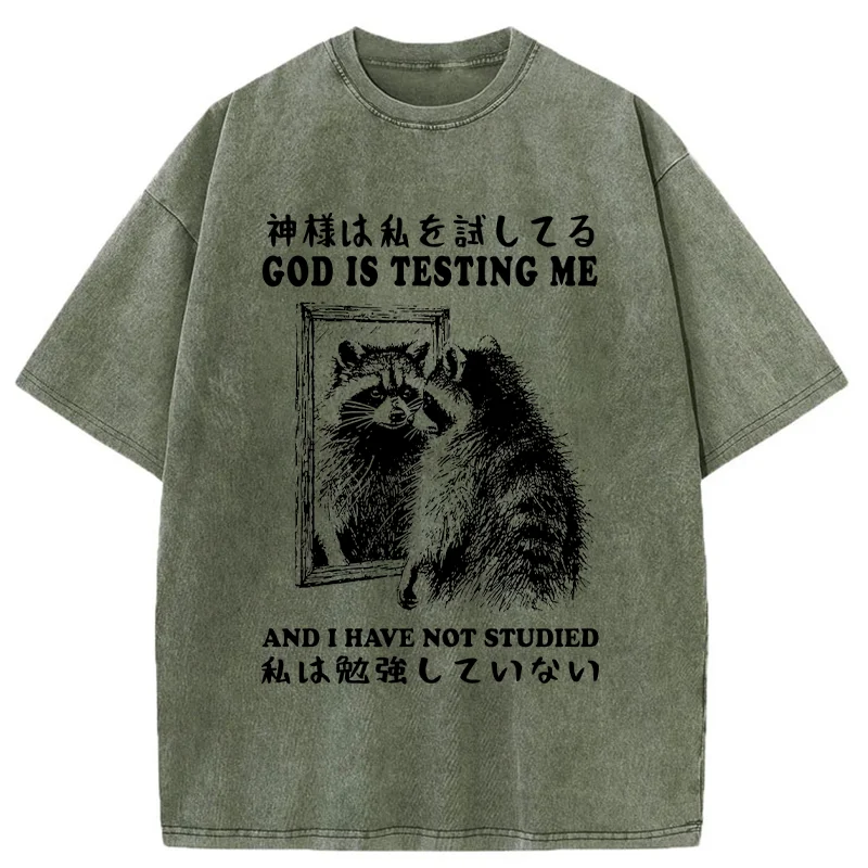 Modecanvas Raccoon Not Studied Washed T-Shirt