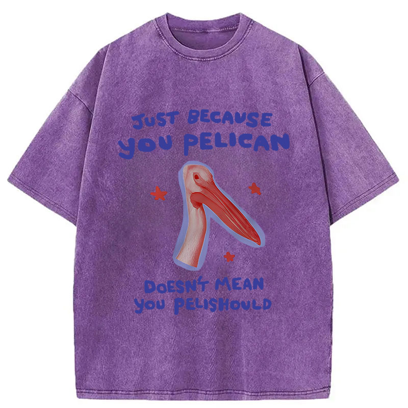 Modecanvas Just Because You Pelican DTG Printing Washed T-Shirt