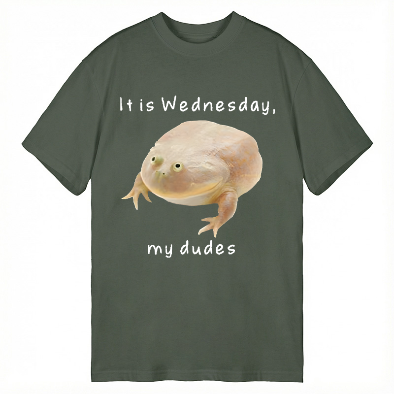 Modecanvas It's Wednesday my dudes DTG Printing Classic T-Shirt-modecanvas