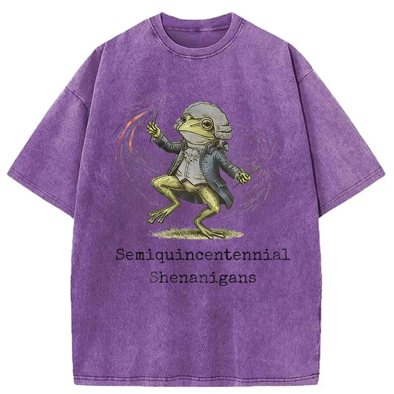 Modecanvas Funny Frog Semiquincentennial DTG Printing Washed T-Shirt