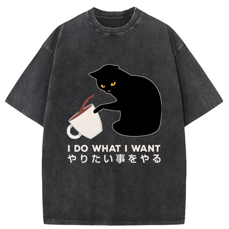 Modecanvas Tsundere Cat Funny Washed T-Shirt