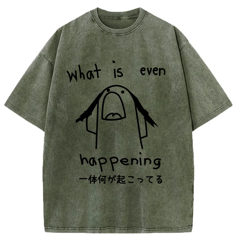 Modecanvas What Is Even Happening Washed T-Shirt-modecanvas