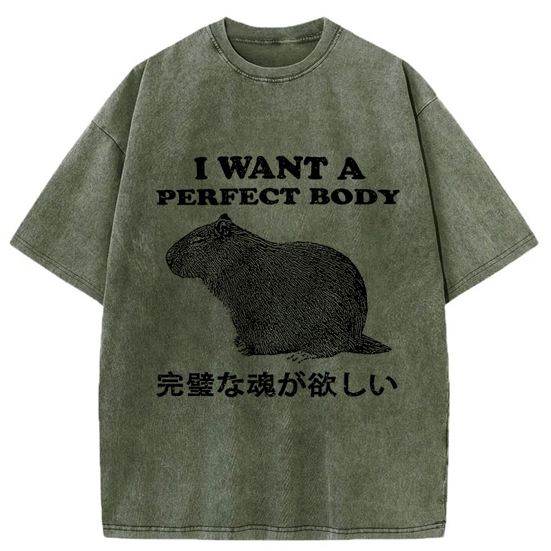 Modecanvas I Want A Perfect Body Washed T-Shirt