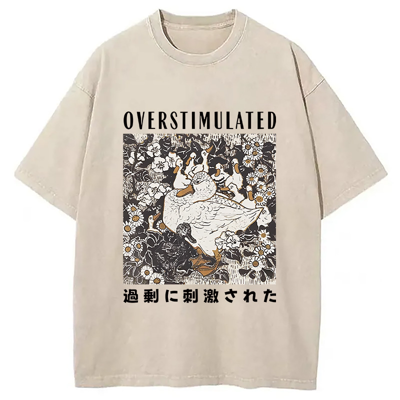 Modecanvas Overthinking Duck Washed T-Shirt
