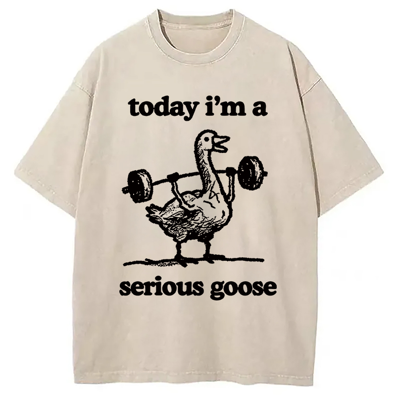 Modecanvas Fitness Goose Washed T-Shirt