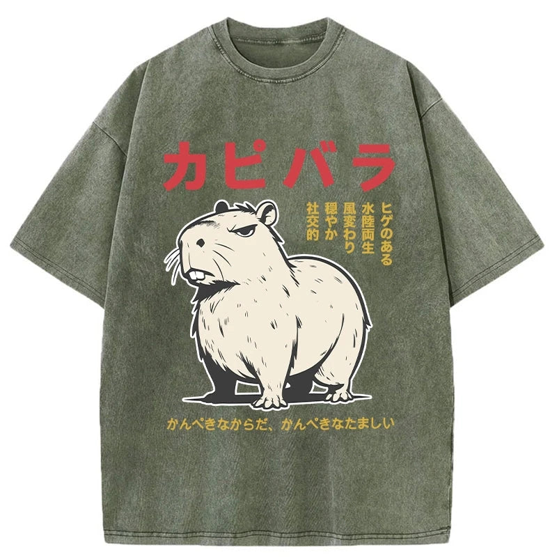 Modecanvas Angry Capybara Japan Washed T-Shirt
