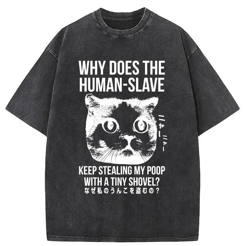 Modecanvas Cat Thinking About human Washed T-Shirt