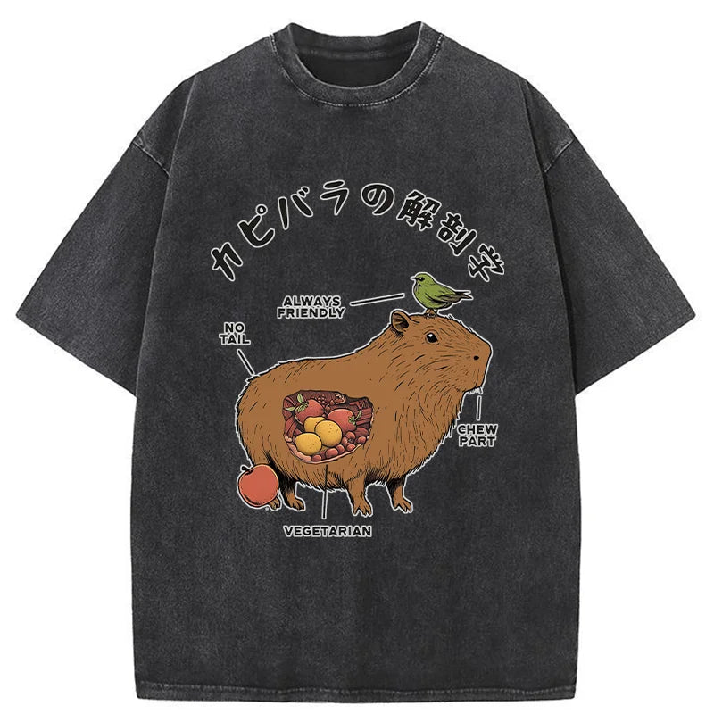 Modecanvas Capybara Anatomy Washed T-Shirt