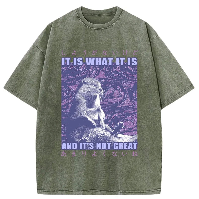 Modecanvas Frustrated Otter Japanese Washed T-Shirt
