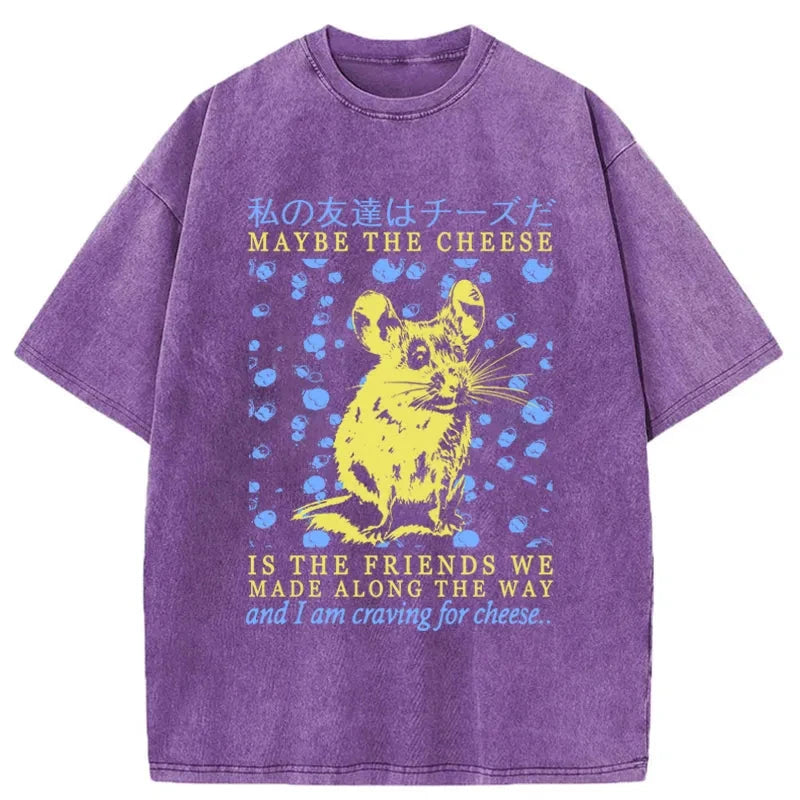Modecanvas My Friend Is Cheese Washed T-Shirt