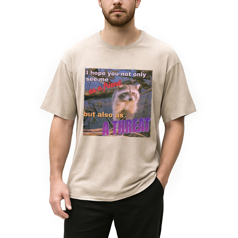 Modecanvas Viral Raccoon Meme Washed T-Shirt