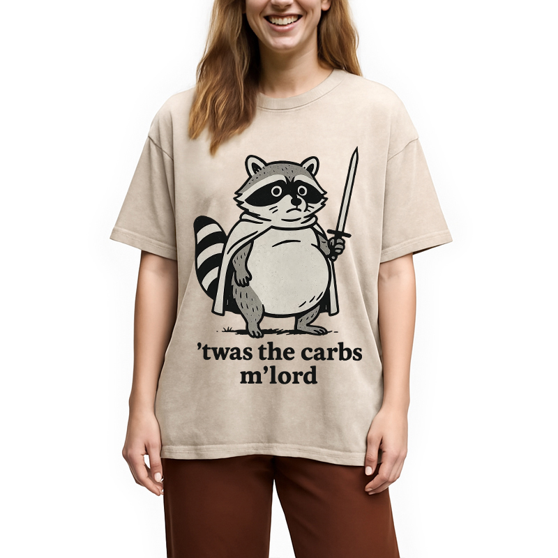 Modecanvas Fat Raccoon Sword Humor Washed T-Shirt