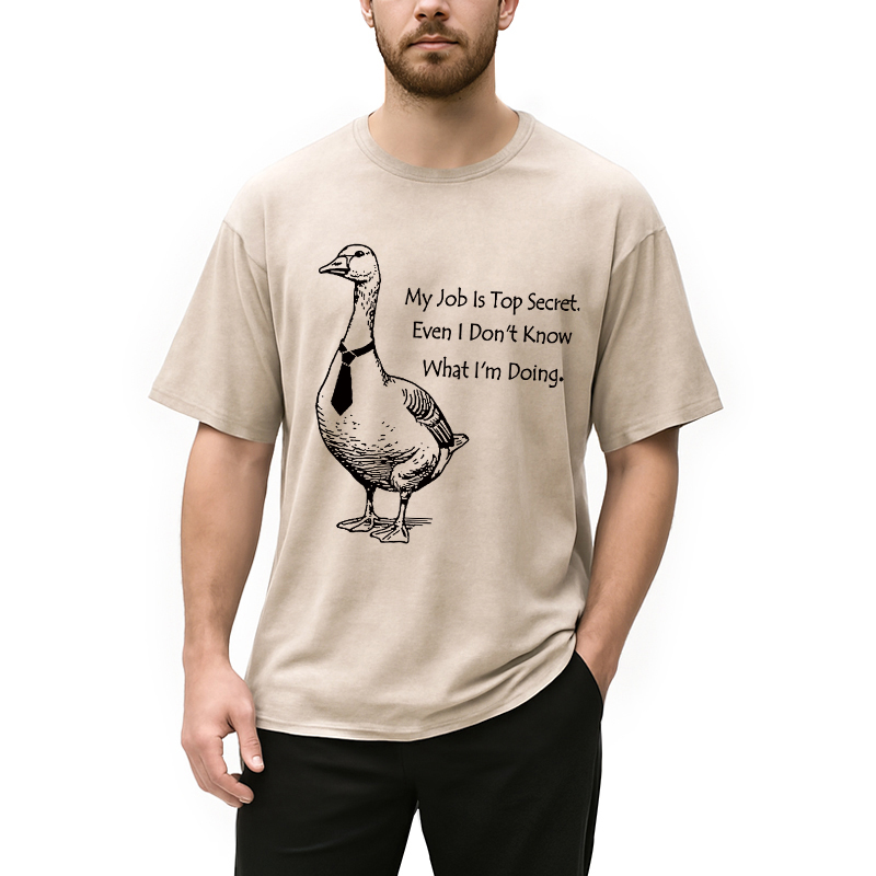 Modecanvas Serious Goose Funny Washed T-Shirt