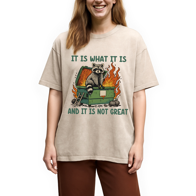 Modecanvas It Is What It Is Dumpster Fire Funny Raccoon Meme Washed T-Shirt