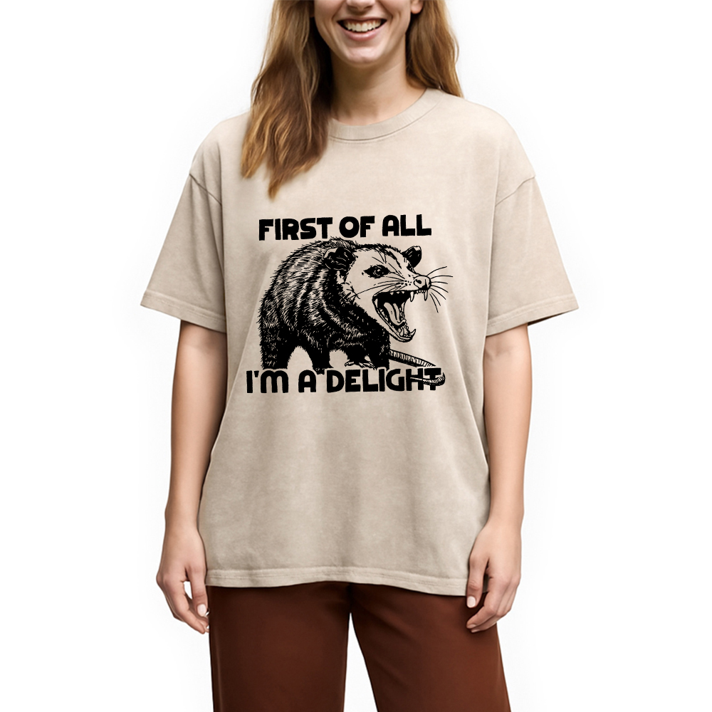 Modecanvas First of All Possum Washed T-Shirt